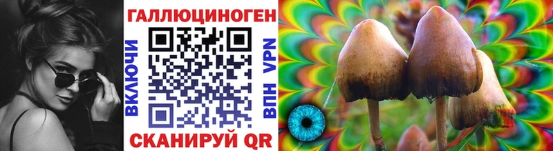 Псилоцибиновые грибы Cubensis  Любим 